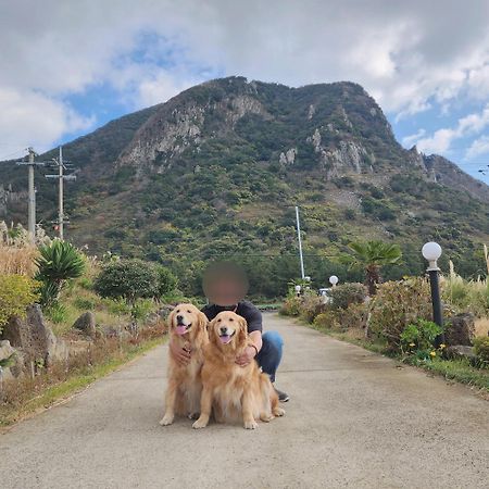 Jeju 542 Pension Seogwipo Zewnętrze zdjęcie